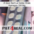 À Quoi Sert La Gelée Orale Kamagra 100 Mg 08